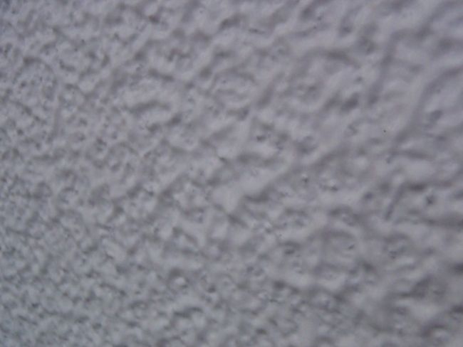 PA060506