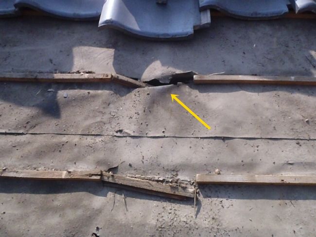 PA080566