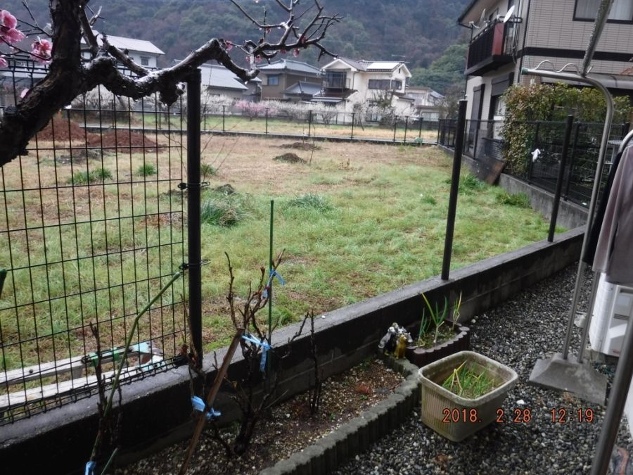 20180228_121947