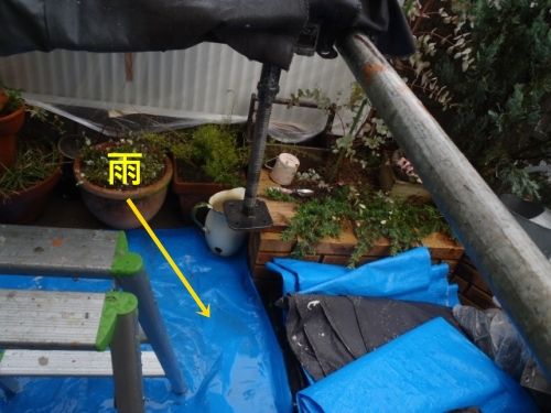 急な雨で濡れた足場下の養生シート