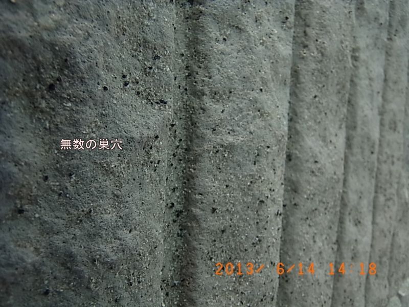 ALC外壁の多数の巣穴と、下塗り材の塗付状況を比較