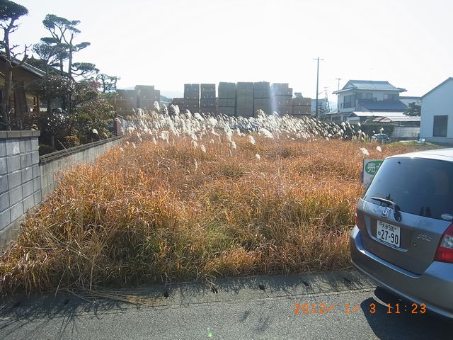 自宅建築用に見学した草の生えた売地