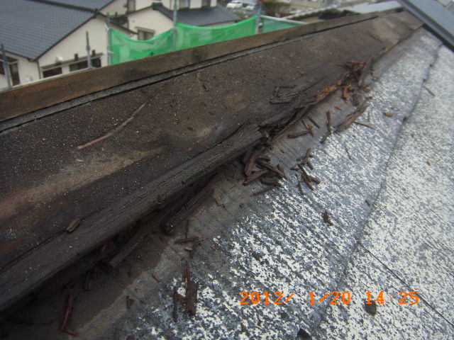 傷んだ棟下地木材の拡大