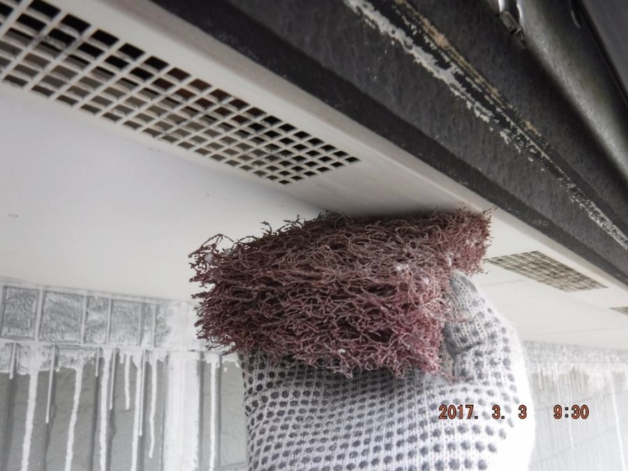 研磨材で軒裏換気部材をケレンする作業
