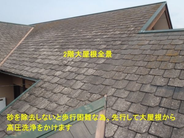 P6030237
