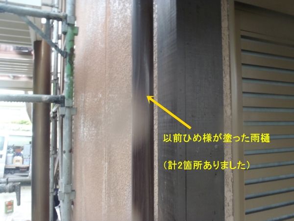 P6070293