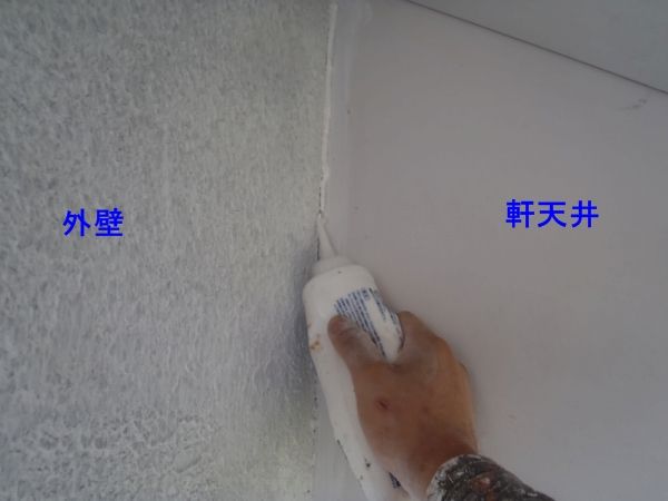 P6230005