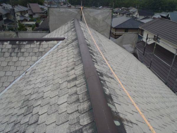 P6300151