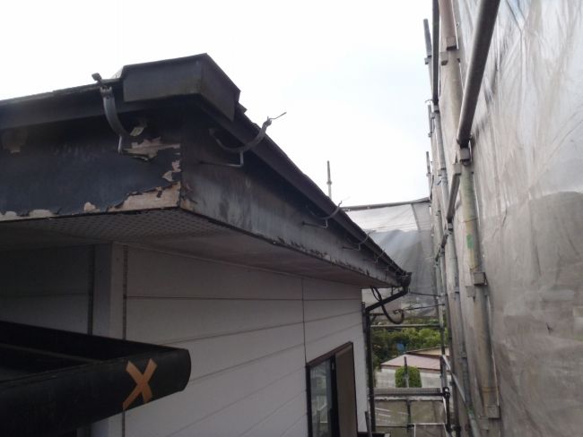 雨樋を外した後、旧塗膜が残る鼻隠し板