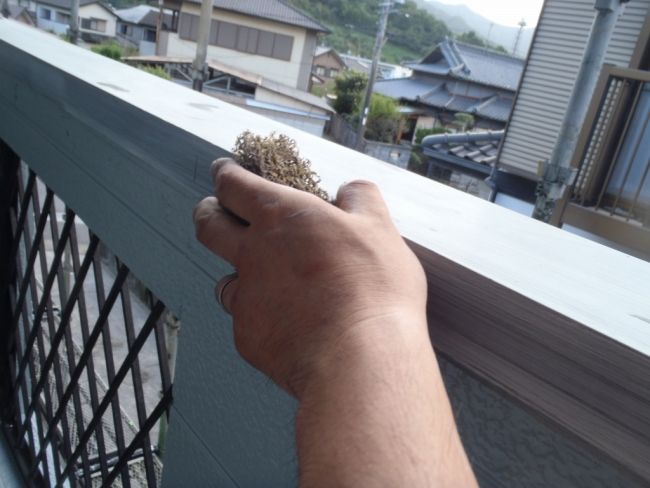 上塗り前に笠木の側面を目荒らし