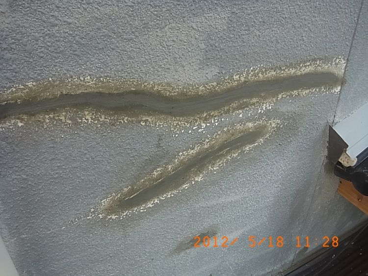 R0013081