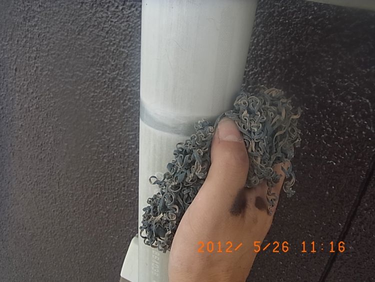 R0013206