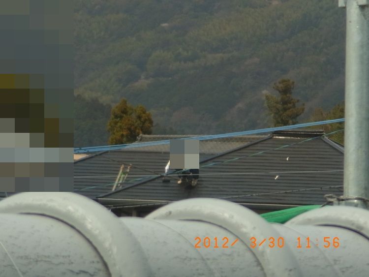 R0012815