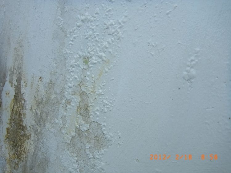 R0011817