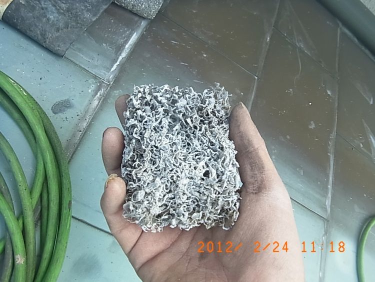 R0012045