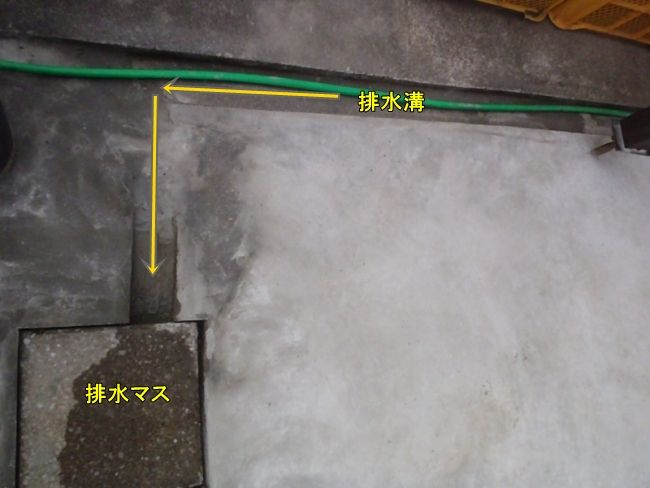 PB010293