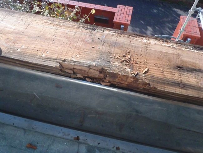 玄関笠木の板金を外して見つかった木下地の腐食