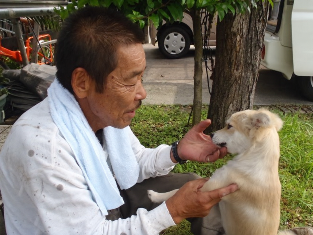 犬に手を差し出す、休憩中の職人