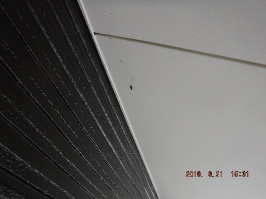 20180821_153133