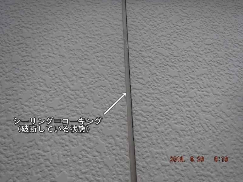 20180628_081807
