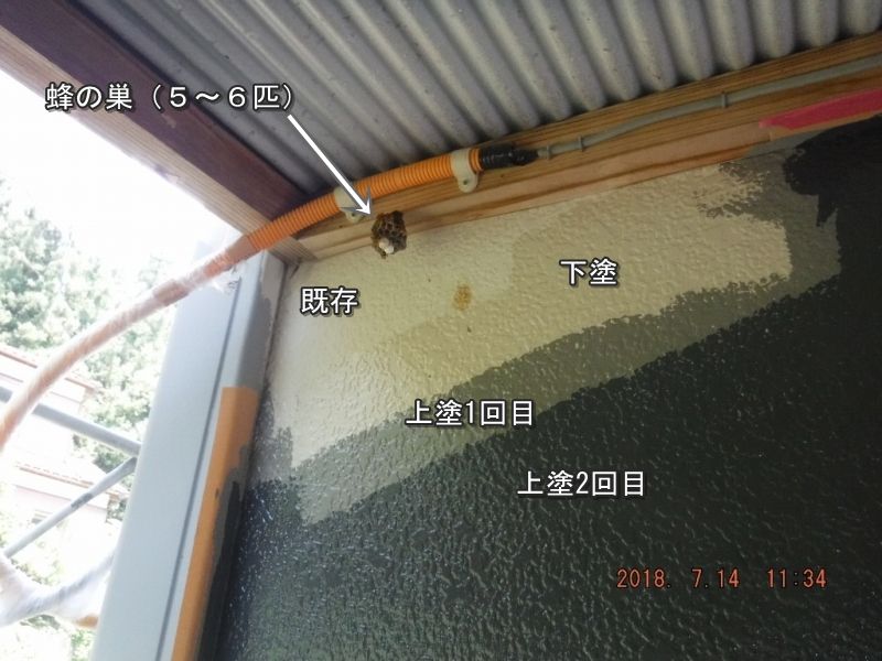 20180714_113420
