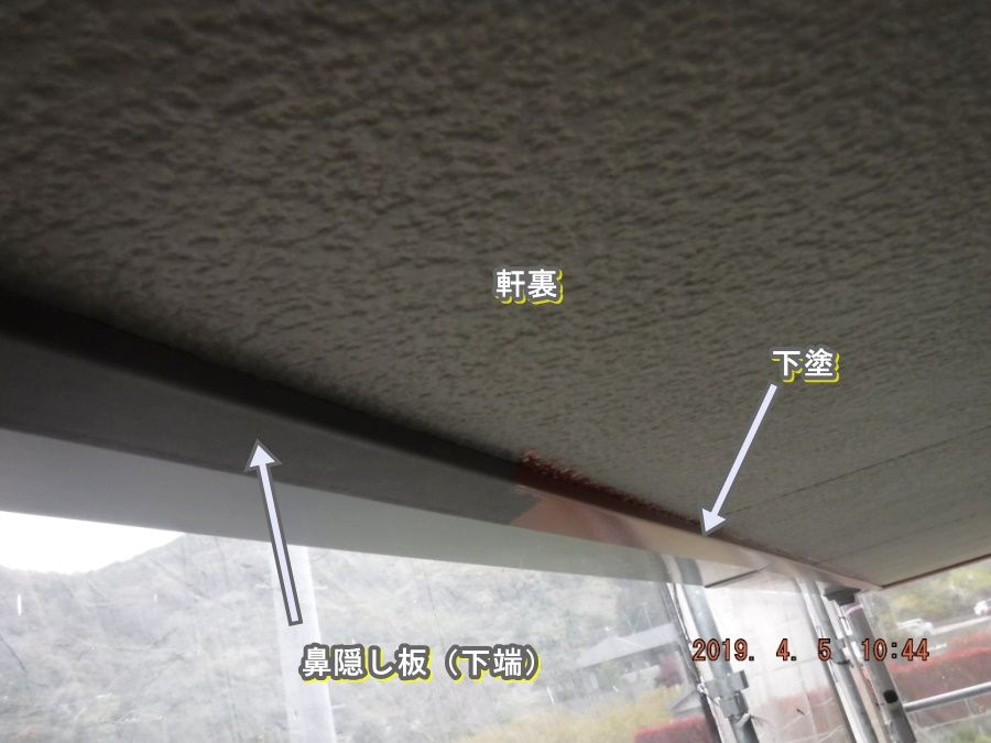 DSCF6991