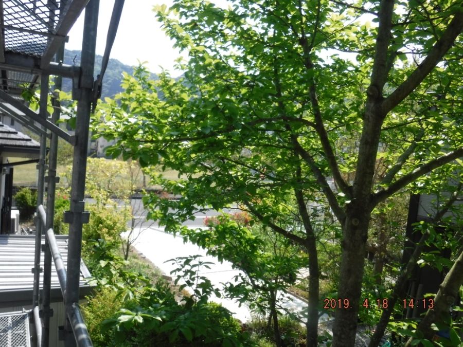 DSCF7145