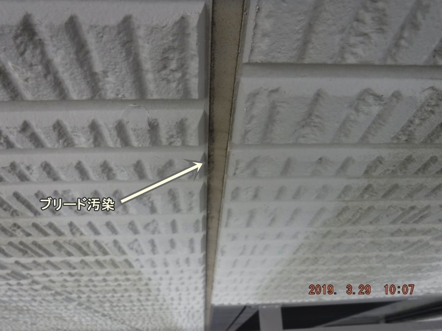 20190329_100726
