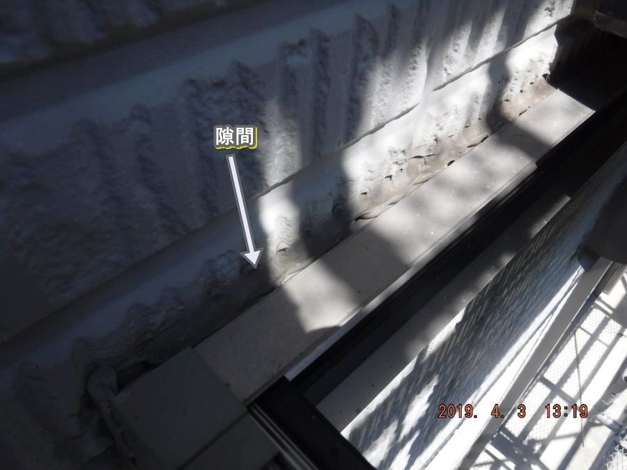 DSCF6954