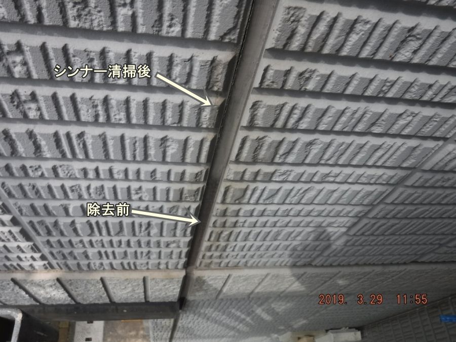 20190329_115549