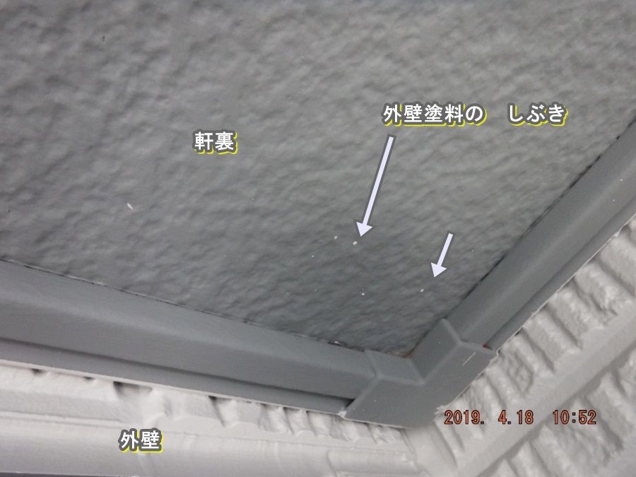 DSCF7135