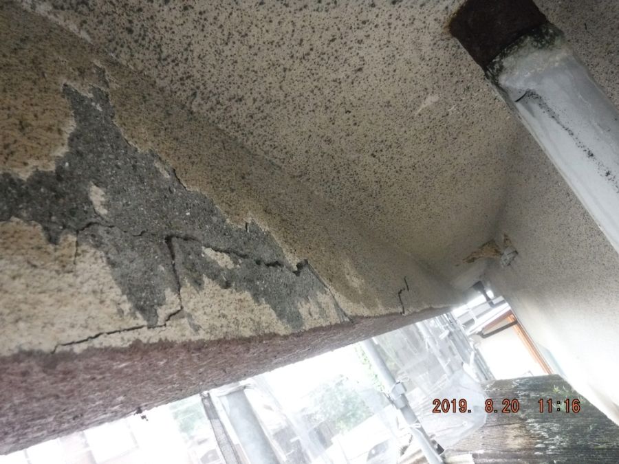DSCF7381