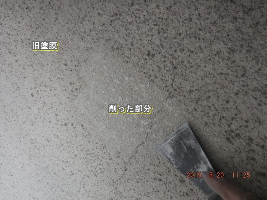 DSCF7386