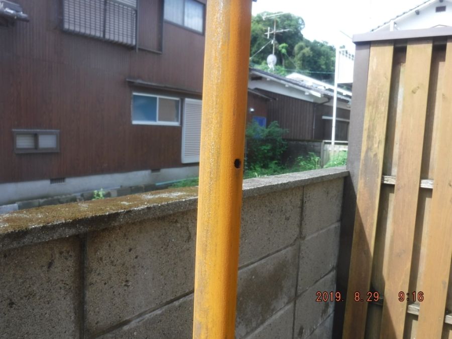 DSCF7492