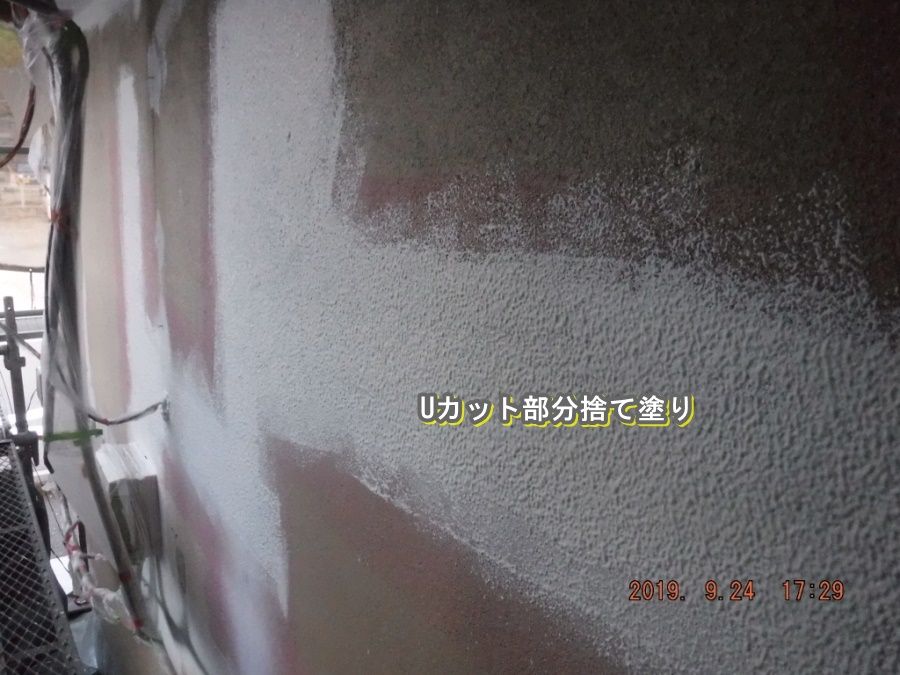 DSCF7667