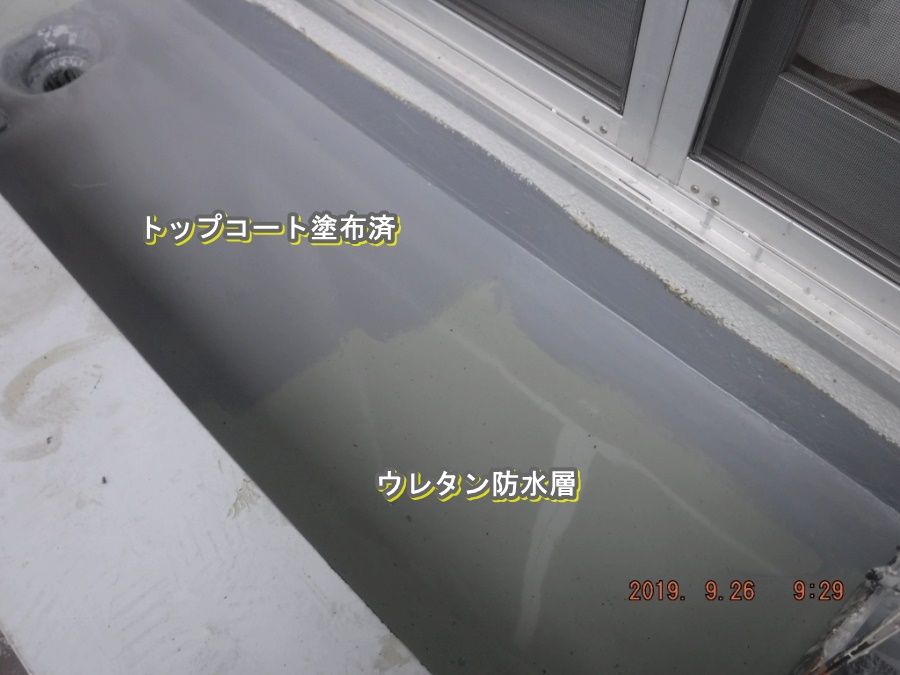DSCF7682