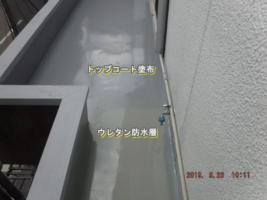 DSCF7683